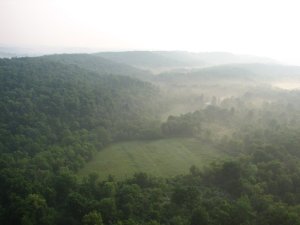 Impacto Económico de la Forestación en Uruguay