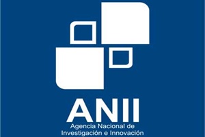 ANII presenta su nuevo instrumento Investigadores + Inversores