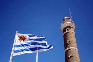 Cómo Convertirse en Proveedor del Estado Uruguayo