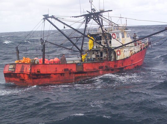 19-08-2015 Prospecciones de ANCAP bajaron 40 las capturas de peces